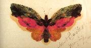Albert Bierstadt, Butterfly